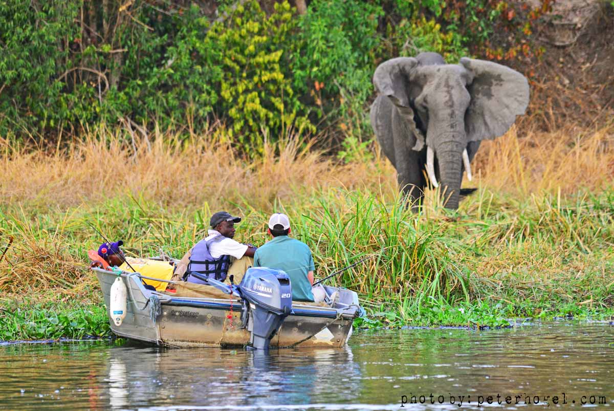 Tarangire National Park