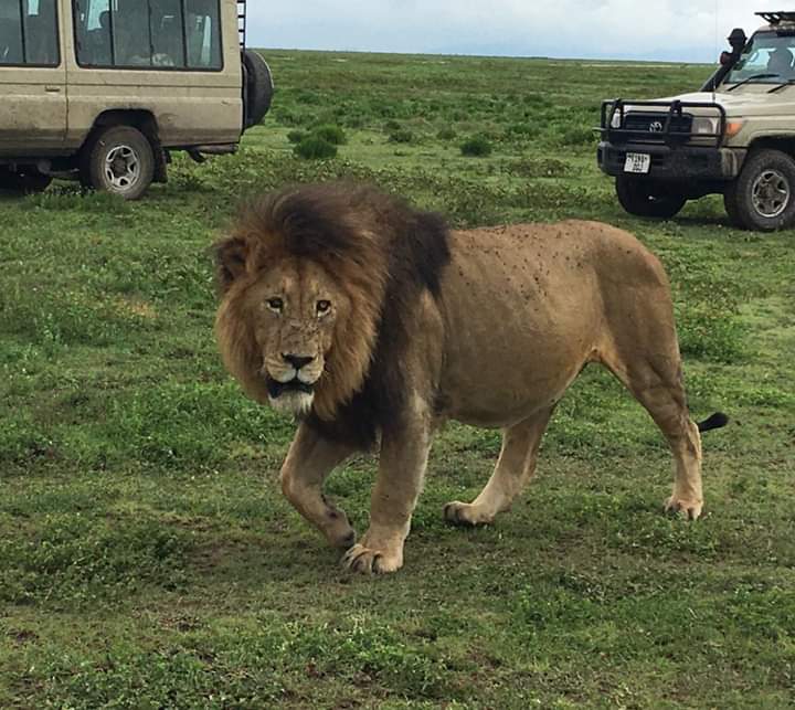 Lake Manyara