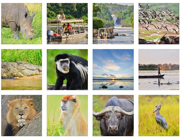 Uganda Wild West Tour
