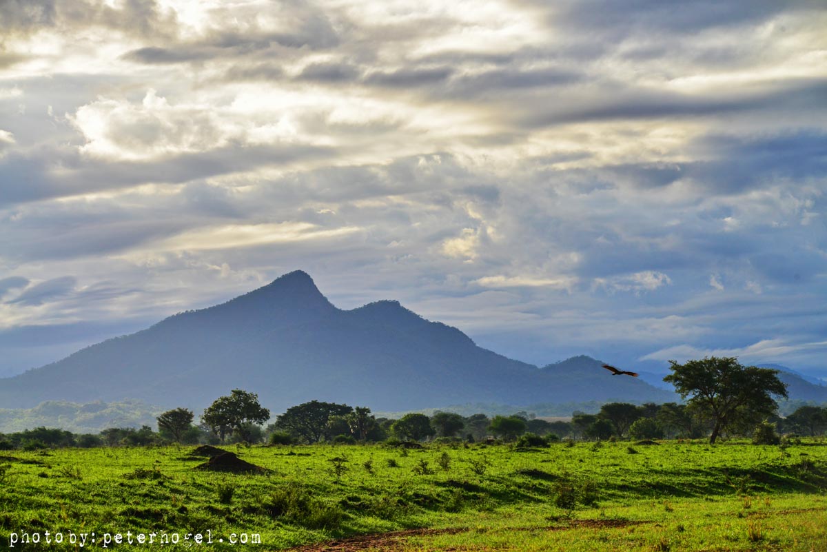 Transfer to Kidepo Valley National Park