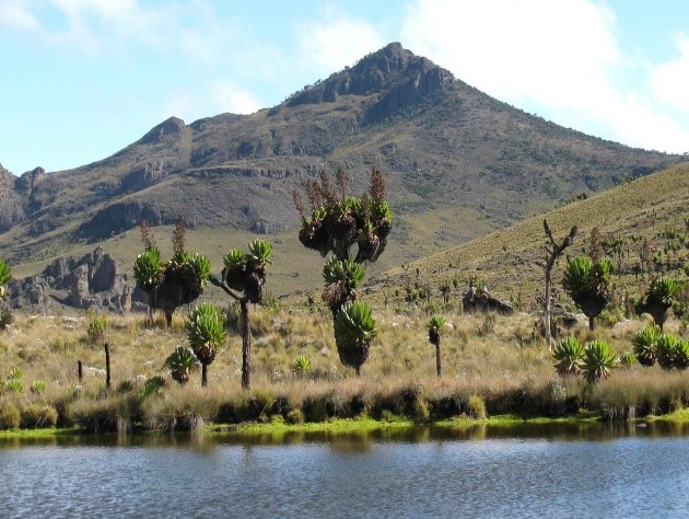 Mountain Elgon Hike